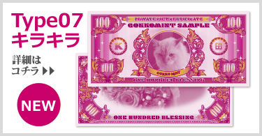 Type05 詳細はこちら